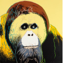 アンディ・ウォーホル「『Endangered Species』より Orangutan」シルクスクリーン