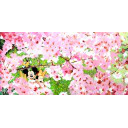 ジョン・ロー「『ミッキー＆ミニー』より 楽しい春」原画+原画45.8 × 91.5 cm