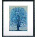 星襄一「青い木」木版画44.7×32.7cm