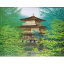 清水規「緑彩金閣寺」日本画