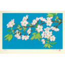 中島千波「『花の瞬間』より 大島桜 4月」木版画+木版画