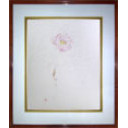 松尾敏男「牡丹」素描74.5 × 66.0 cm