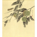 松林桂月「栗」木版画