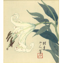 松林桂月「百合」木版画