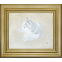 河股幸和「仔犬」日本画36.5 × 44.0 cm