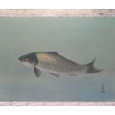 青木大乗「鯉」日本画+日本画+掛軸+掛軸尺八横