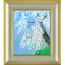 中島千波「天龍寺の枝垂桜」日本画+日本画F8号