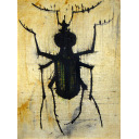 ベルナール・ビュッフェ「虫」板に油彩