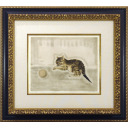 藤田嗣治「『猫十態』より ボールのそばでまどろむ仔猫」銅版画+銅版画