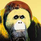 アンディ・ウォーホル「『Endangered Species』より Orangutan」シルクスクリーン
