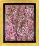 井阪仁　大手毬桜　油絵　油彩画　洋画家 井阪仁 大手毬桜 油絵 油彩画 洋画家 井阪仁 大手毬桜 油絵