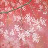 絵画　日本画　桜　高崎昇平 絵画 日本画 桜 高崎昇平 絵画