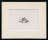 野田弘志「消しゴム」鉛筆デッサン19.5 × 27.0 cm