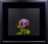 真作保証、百貨店購入【美品】  髙松秀和　[薔薇] 　6号　油彩画 　東京芸大卒 真作保証、百貨店購入【美品】 髙松秀和 [薔薇] 6号 油彩画 東京