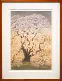 千住博「夜桜月下」HSエディション :: 絵画買取・販売 - シバヤマ