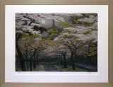 寺社作品（桜を描いた作品） :: 絵画買取・販売 - シバヤマ