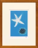 東山魁夷「季の詩より『7月』」リトグラフ24.0 × 16.5 cm