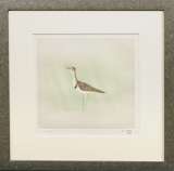 上村淳之「『[鳥たちの四季]』より 夏 いそしぎ」