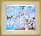 中島千波「桜花清々」シルクスクリーン