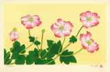 中島千波「『花の瞬間』より 秋明菊 ‒ 11月」木版画