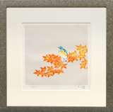 上村淳之「『[鳥たちの四季]』より 秋 るりびたき」