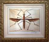ベルナール・ビュッフェ「INSECTE BRUN (Brown)」カラードライポイント