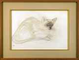 奥村土牛「猫」紙本彩色+素描39.7 × 55.5 cm