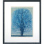 星襄一「青い木」木版画