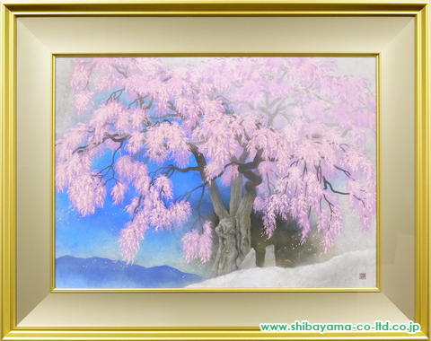 髙橋浩規「桜の頃～勝間の枝垂桜」日本画 M20号