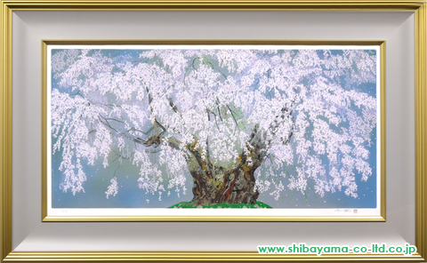 複数落札された場合中島千波 坪井の枝垂桜 シルクスクリーン 美術品 版画