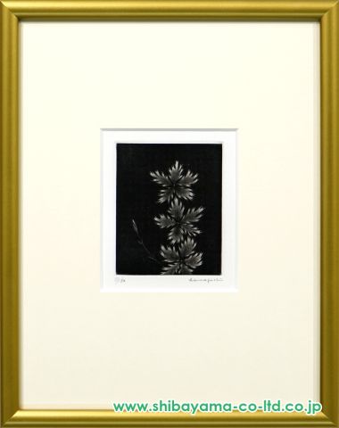 大学生協 割引 浜口陽三「かわらなでしこ」メゾチント :: 絵画買取・販売 版画