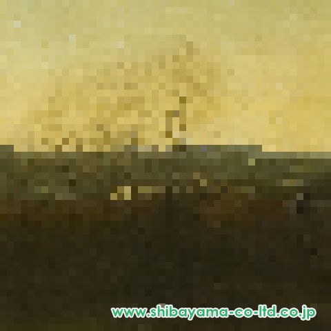 14181_409570bbc70c6ed31712cb77
