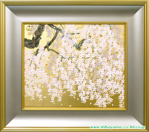 中島千波「三宝院の枝垂れ桜」日本画 8号