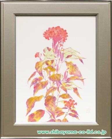 【吉岡 一】鶏頭花【絵画 油彩 油絵】額縁付き 吉岡 一】鶏頭花【絵画 油彩 油絵】額縁付き