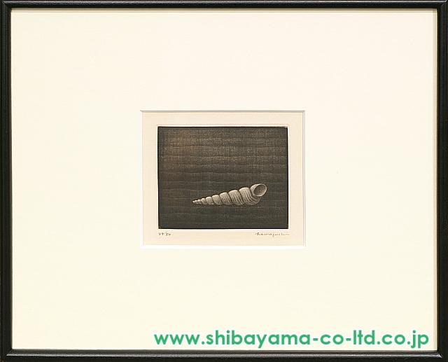 浜口陽三「巻貝」メゾチント :: 絵画買取・販売 - シバヤマ