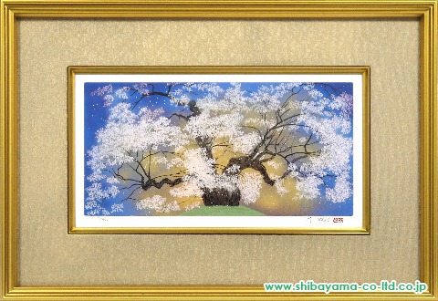 日本画中島千波醍醐の桜 - 美術品/アンティーク