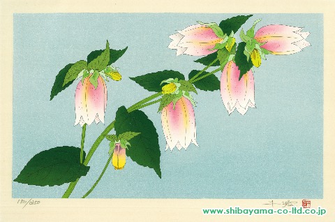 中島千波「花の瞬間より『蛍袋 7月』」木版画
