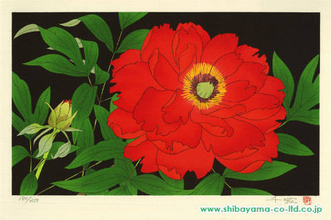 中島千波「花の瞬間より『牡丹 5月』」木版画