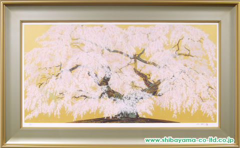 品質中島千波　　シルクスクリーン　「照蓮寺の庄川桜」 　2005年製作 シルクスクリーン