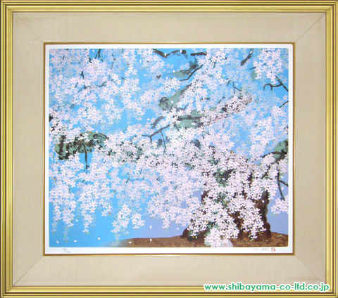 中島千波「桜花清々」シルクスクリーン :: 絵画買取・絵画販売専門店