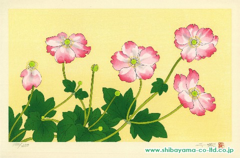 中島千波「花の瞬間より『秋明菊 ‒ 11月』」木版画