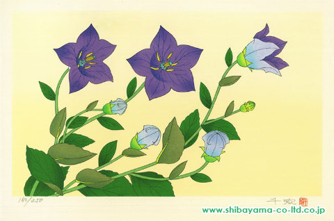 中島千波「花の瞬間より『桔梗 ‒ 9月』」木版画