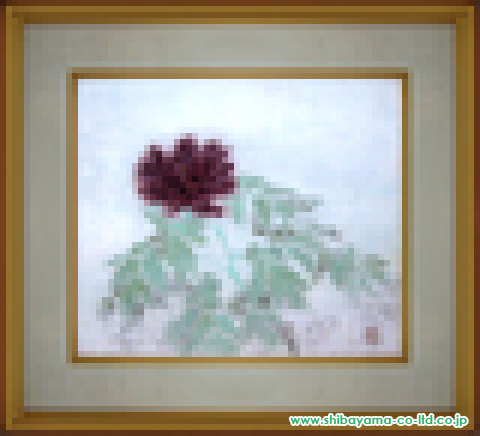前本利彦「紫黒の牡丹」日本画 F10号