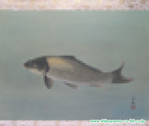 青木大乗「鯉」日本画＋掛軸 尺八横