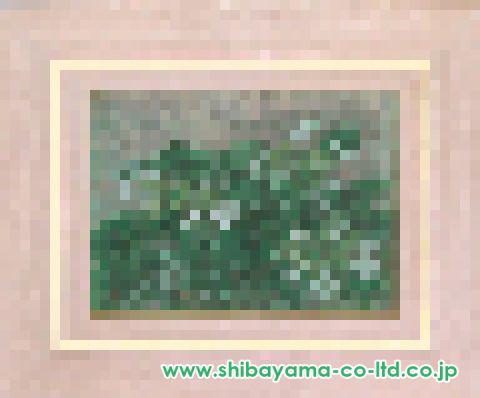 日本画⑩ 紫陽花