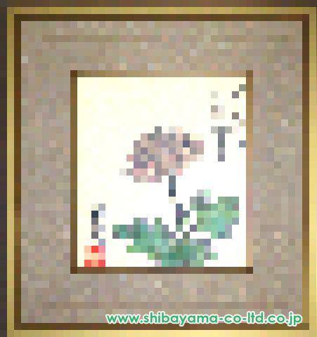小説家画家 武者小路実篤 肉筆色紙 素晴らしい 菊