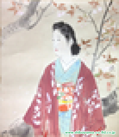 伊東深水「桜」日本画＋掛軸 色紙