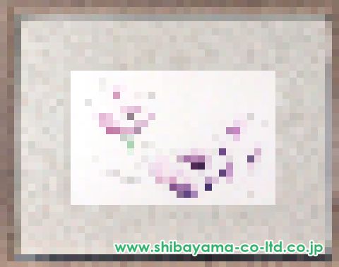 玉村豊男 ブルーベリー絵画 48/125 玉村豊男 ブルーベリー絵画 48/125