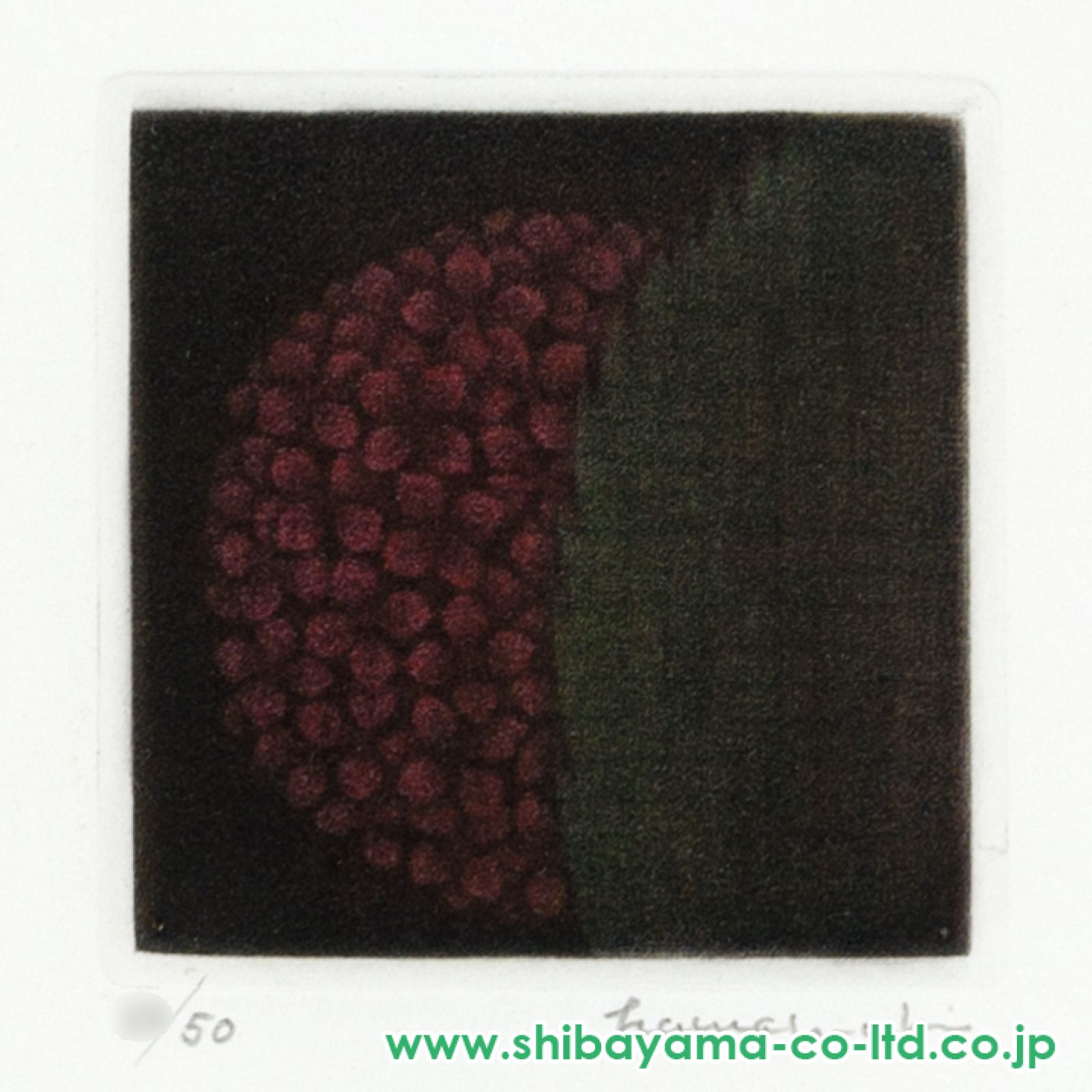 浜口陽三　毛糸　メゾチント　作品 浜口陽三 毛糸 メゾチント 作品（浜口陽三 毛糸 メゾチント 作品