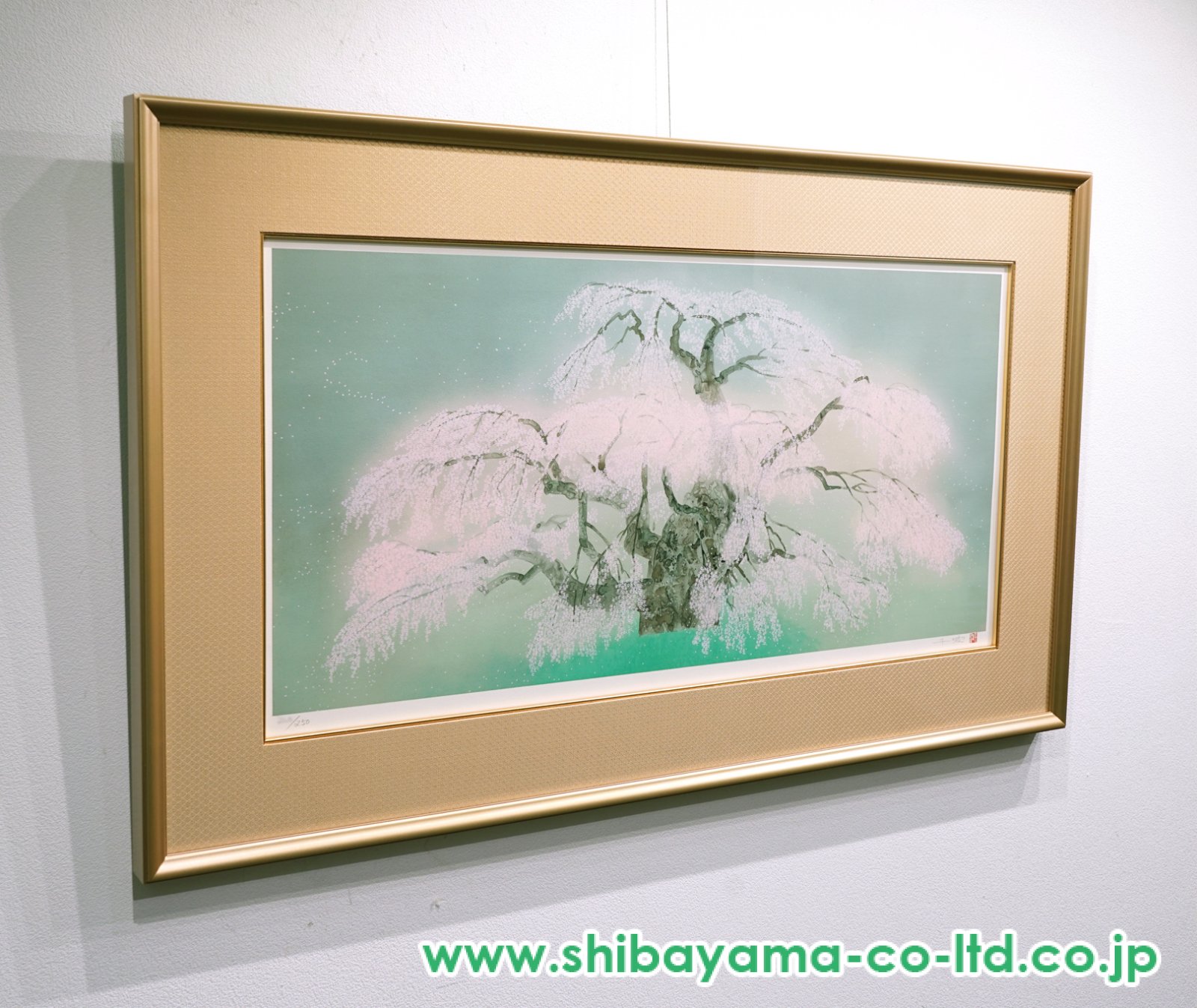 中島千波「瀧桜 (1)」リトグラフ :: 絵画買取・販売 - シバヤマ